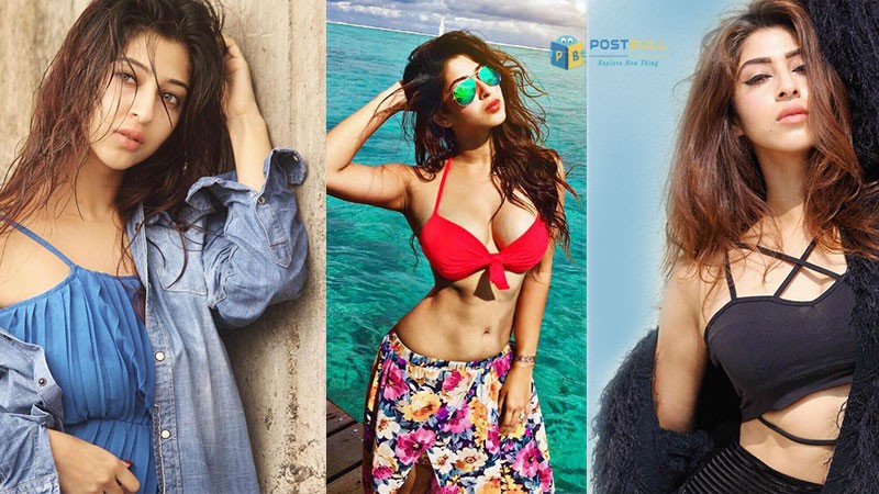 Sonarika